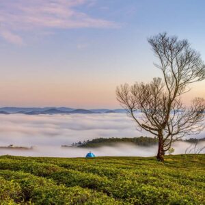Fotografiska ljudabsorberande element- smal 100x50x2-4cm- med individuellt foto – (1)
