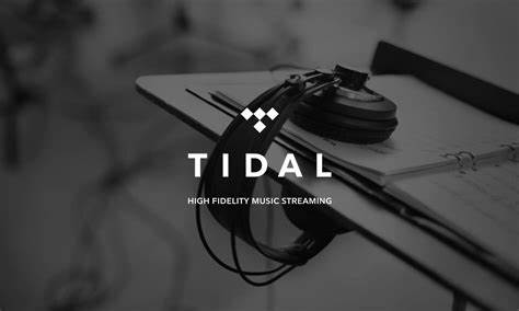 TIDAL-granskning av streamingtjänster