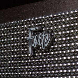 Logo Forte-III-mit