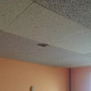 akustisk svamp i taket