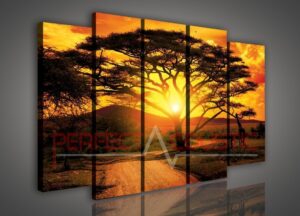 wall photo Decorative acoustic panels